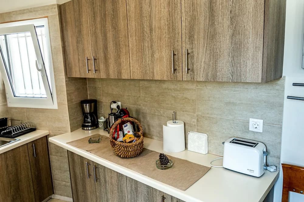 Alexander's Penthouse - photo 20