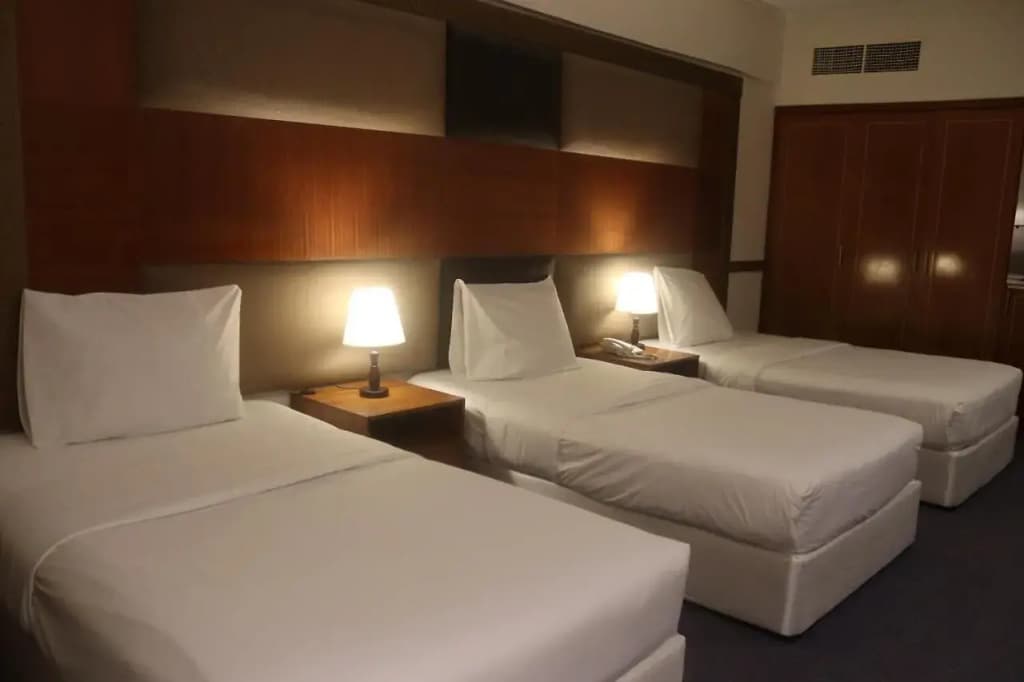 Vendome Plaza Hotel - photo 7
