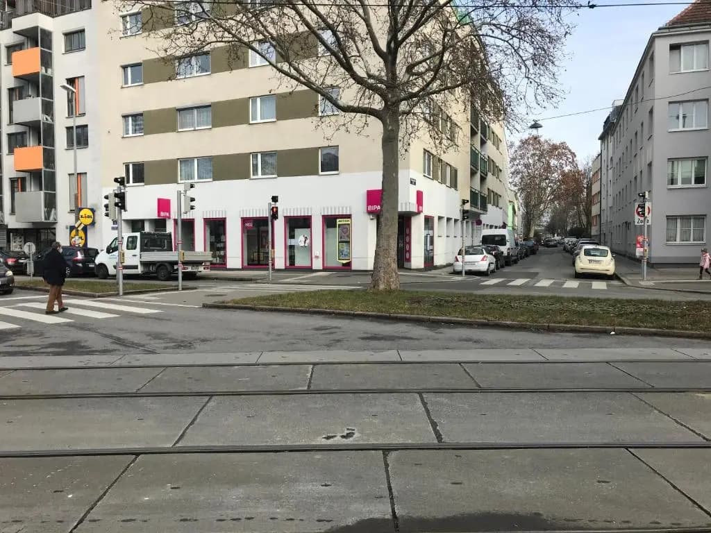 Alte Donau - photo 1