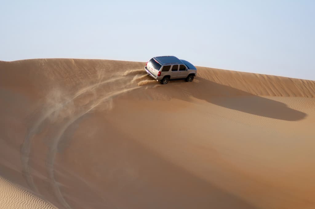 Tilal Liwa Hotel - photo 18