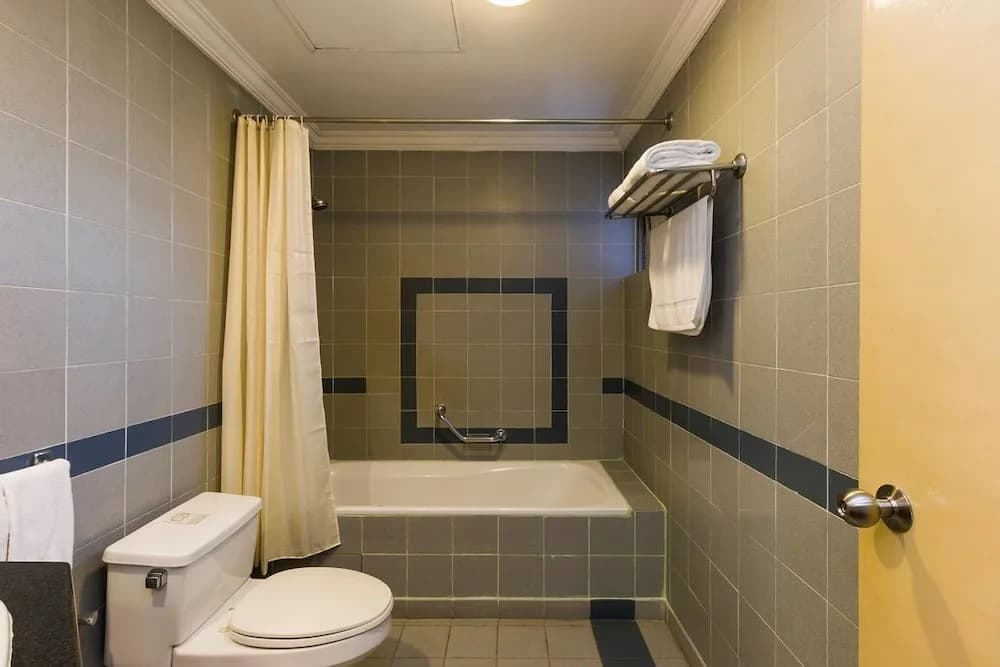 Classic Executive 2 And 1Br Apartment - photo 9