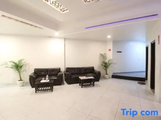 Airport Hotel Classic Park - photo 3