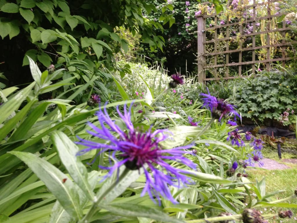 Ashdene House - photo 10