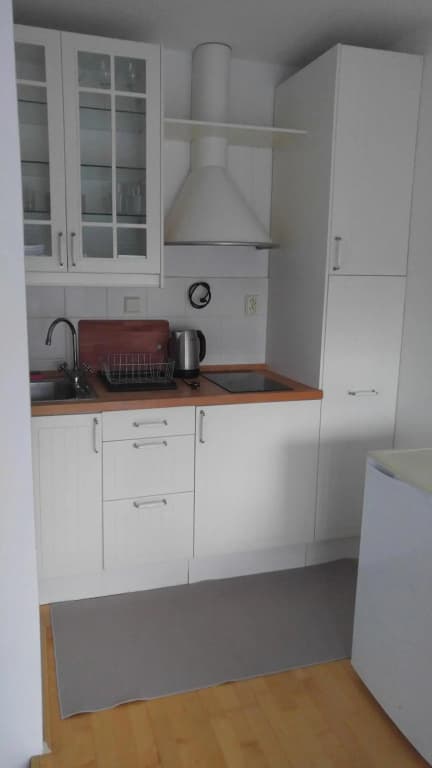 Vitkov Park Apartment - photo 17