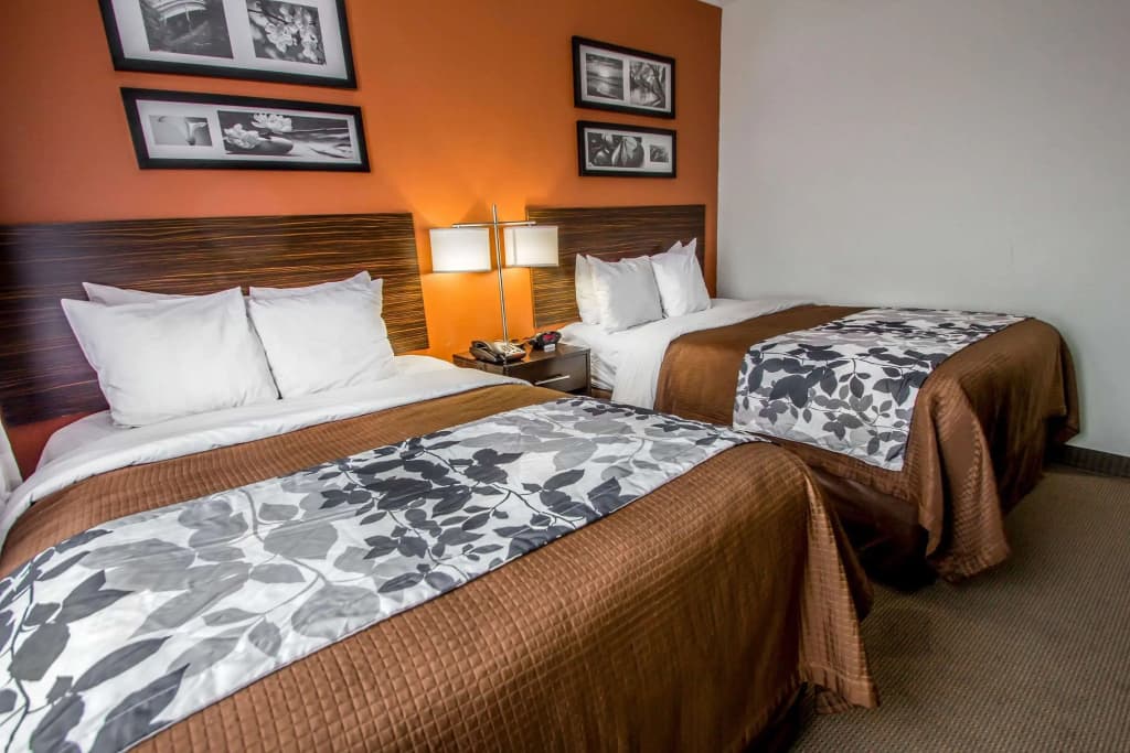 Sleep Inn JFK Airport Rockaway Blvd - photo 5