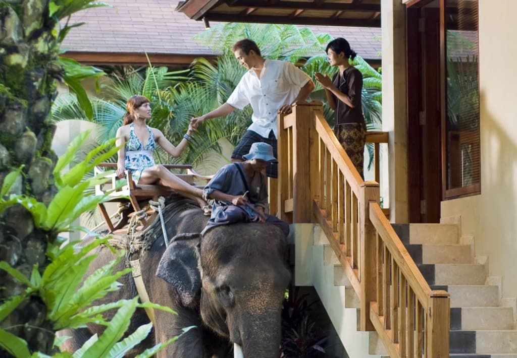 Mason Elephant Lodge - photo 17