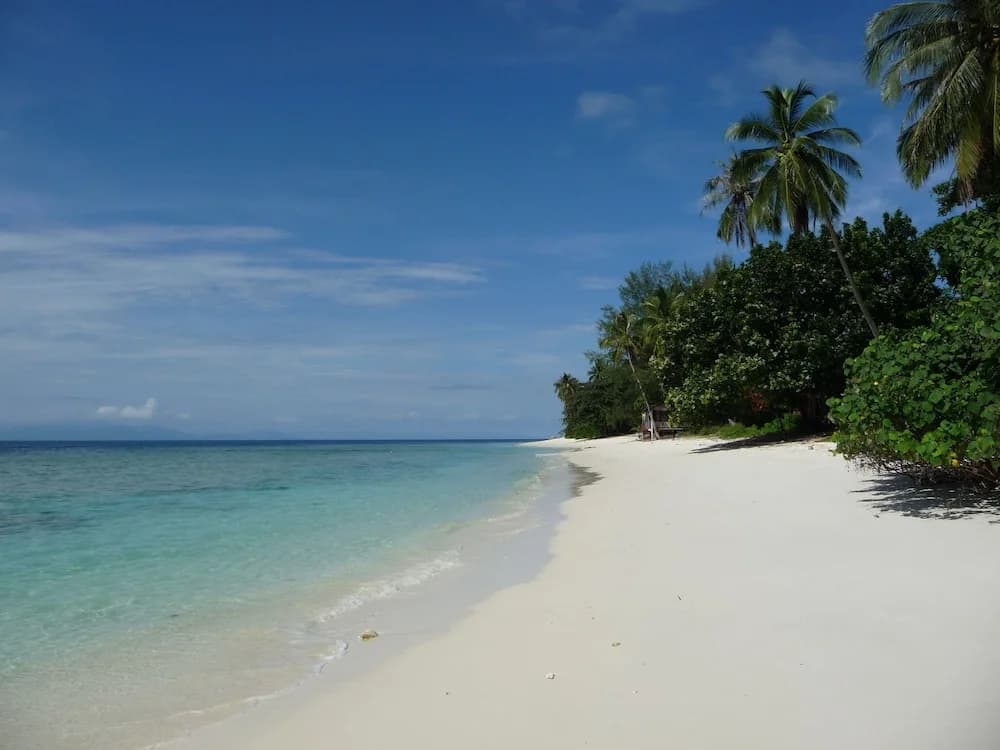 D'Coconut Island Resort - photo 12
