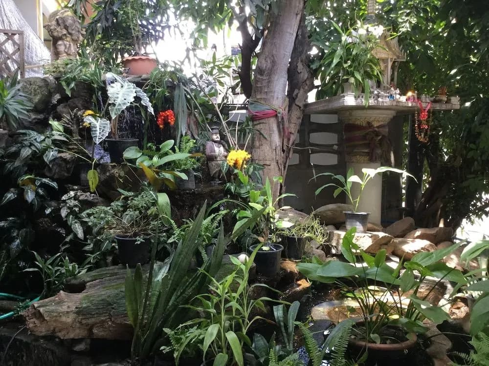Rose Guesthouse Chiangmai - photo 16