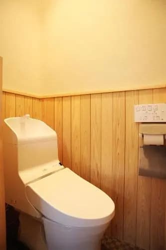 Chushojima INN #1 - photo 5