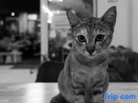 KPOP Hostel - photo 3