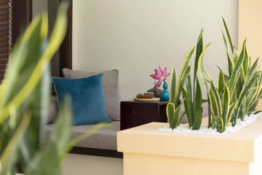 Anantara Hoi An Resort - photo 16