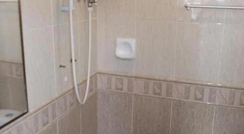 Hotel Golden Wings - photo 13