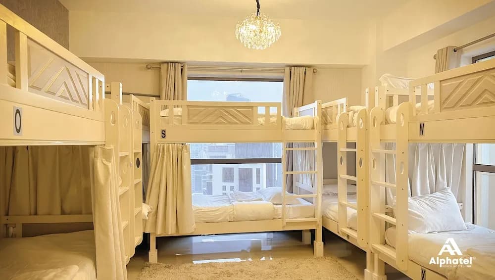 Alphatel Beach Hostel JBR - photo 3