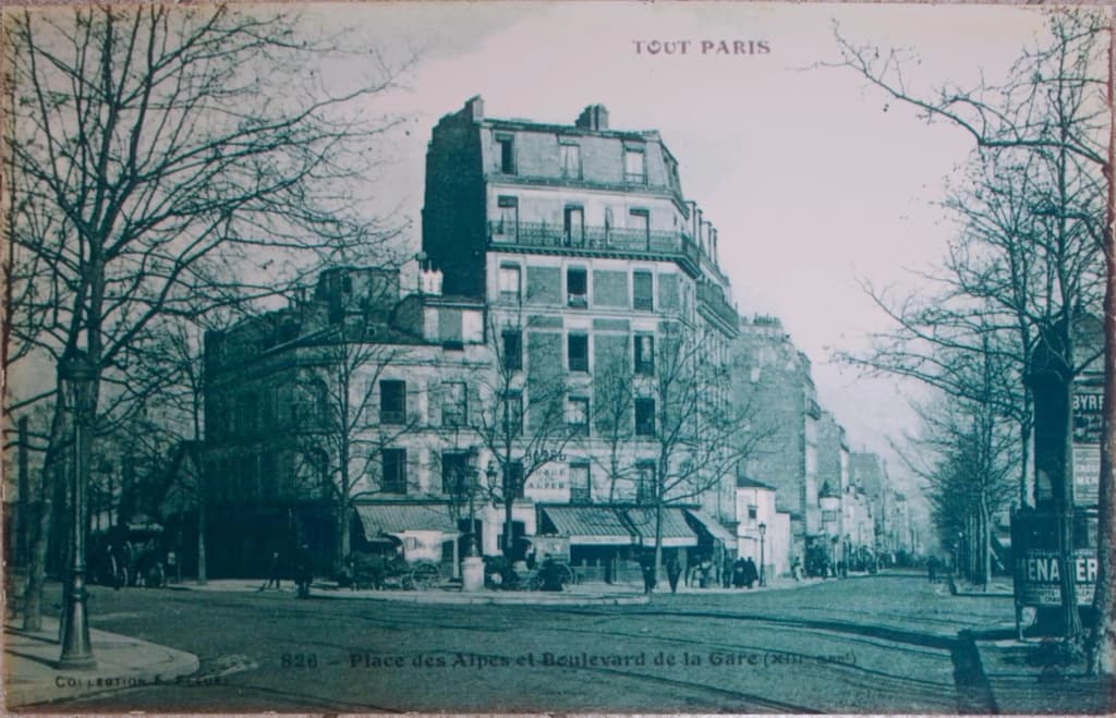 Hôtel de la Place des Alpes - photo 16