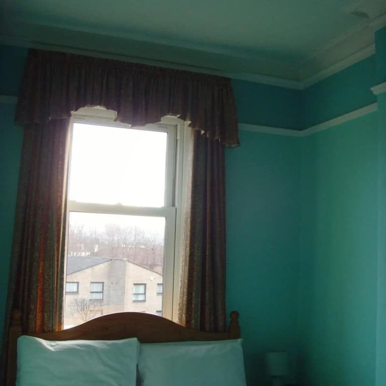 Twin Lions Hotel - photo 45