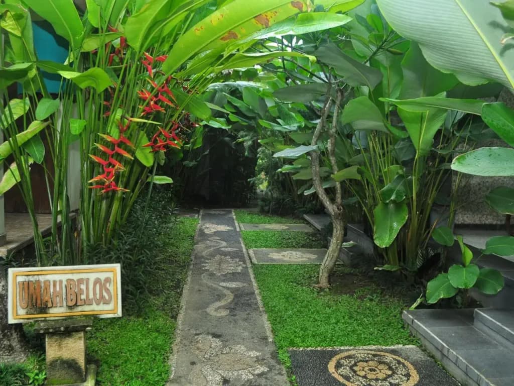 Umah Belos - photo 5