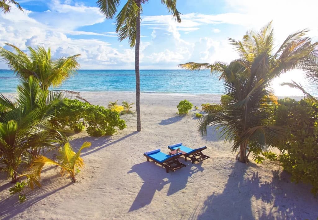 Nala Maldives by Jawakara - photo 20