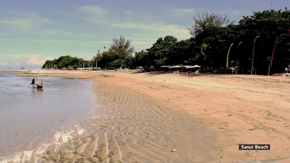 New Ananda Beach Hotel - photo 14