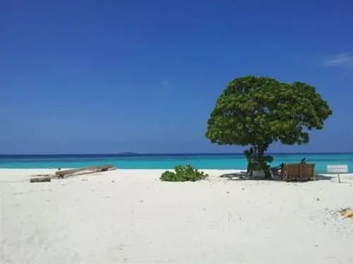 Kethi Lodge Maldives - photo 2