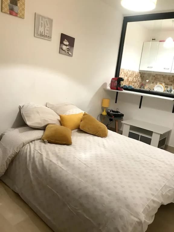 Studio In Nice With Balcony And Wifi 20 M From The Beach - photo 5