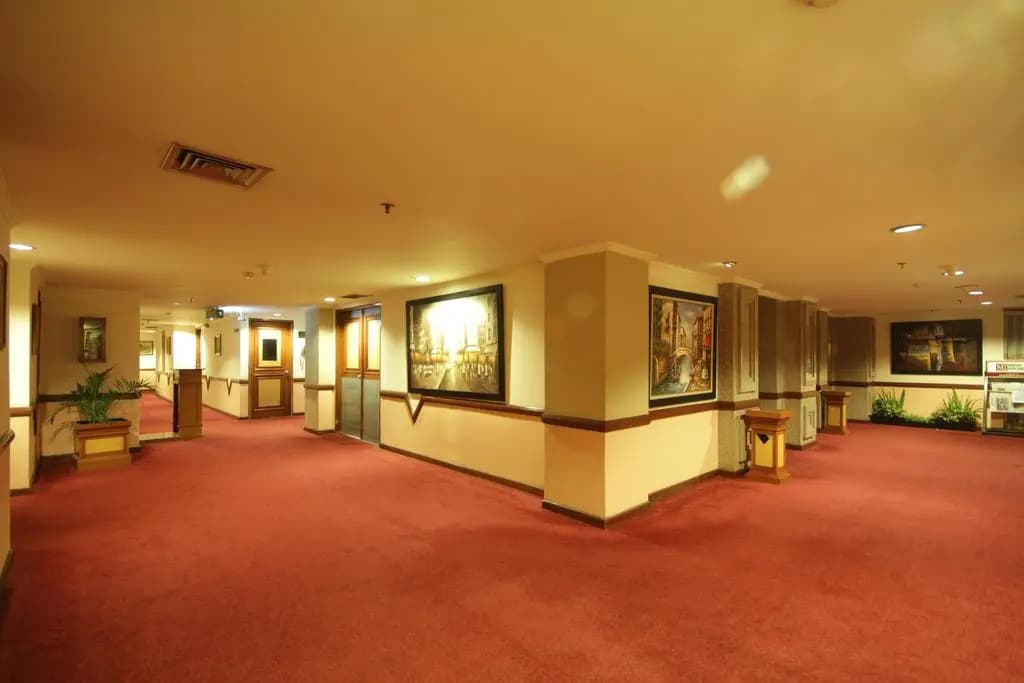 Maharadja Hotel - photo 14