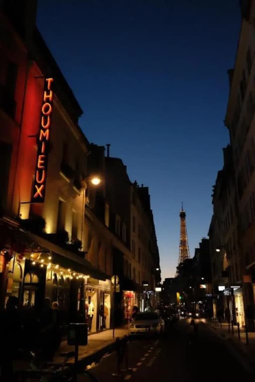 Hotel Thoumieux - photo 28