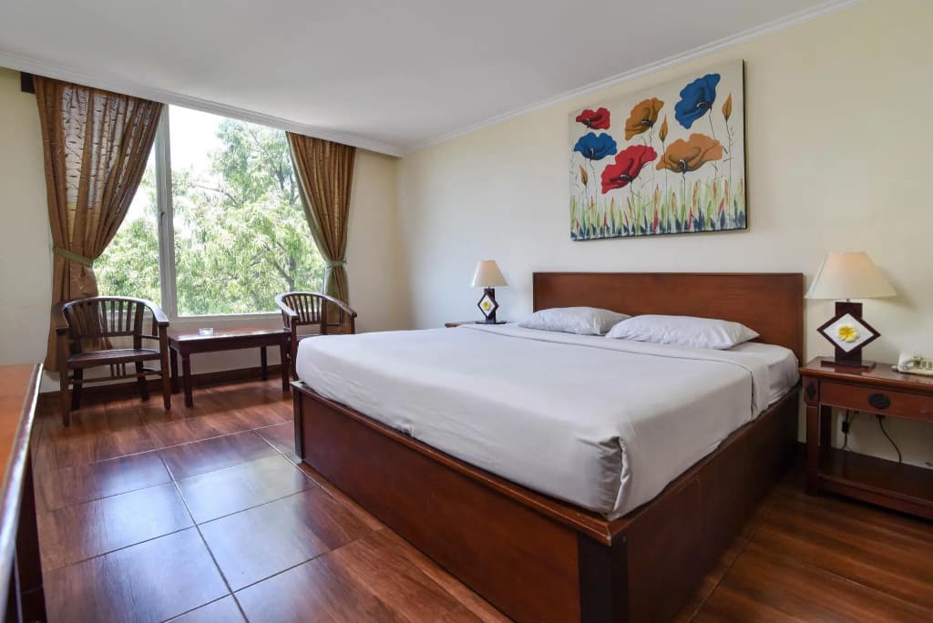 Puri Dibia Hotel - photo 6