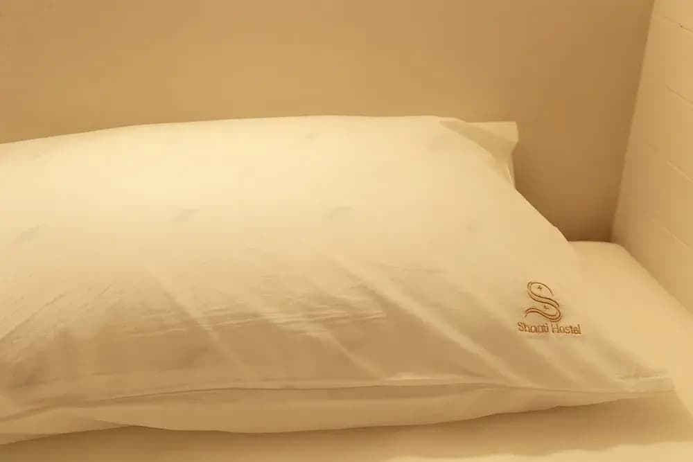 Shanti Hostel - photo 10