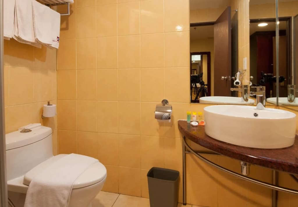 Gaya Centre Hotel - photo 11