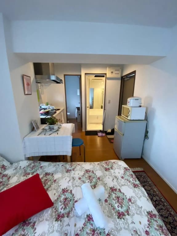 Takemura Building 301 - photo 2