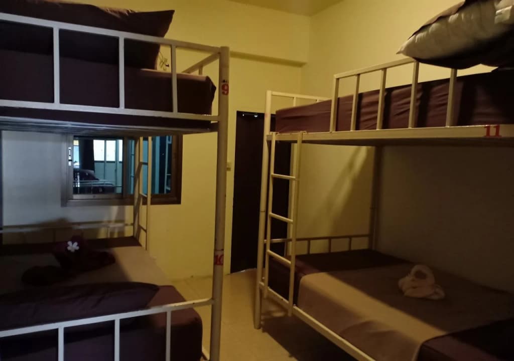 Oasis Hostel - photo 3