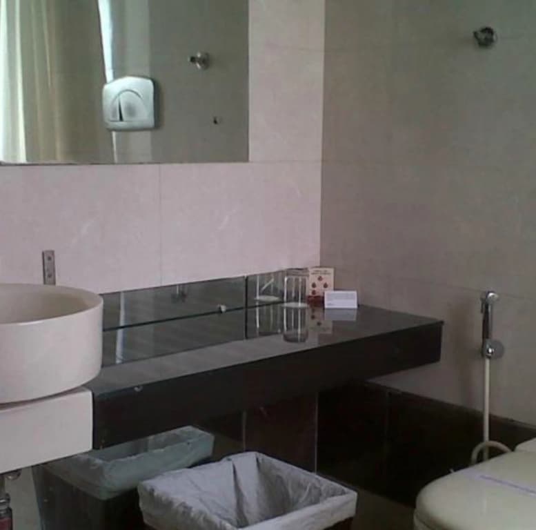 Shervani Hotel Nehru Place - photo 8