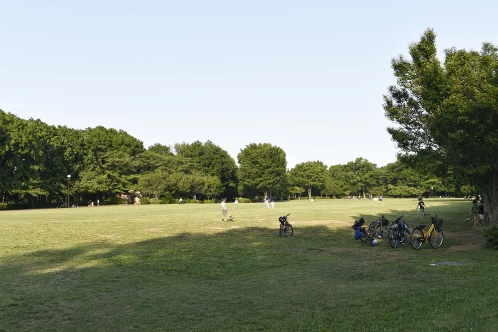 West Kumegawa - photo 48