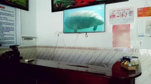 Huu Thuy Guest House - photo 15