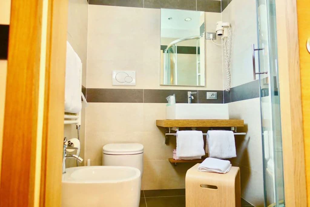 Hotel Paris - photo 8