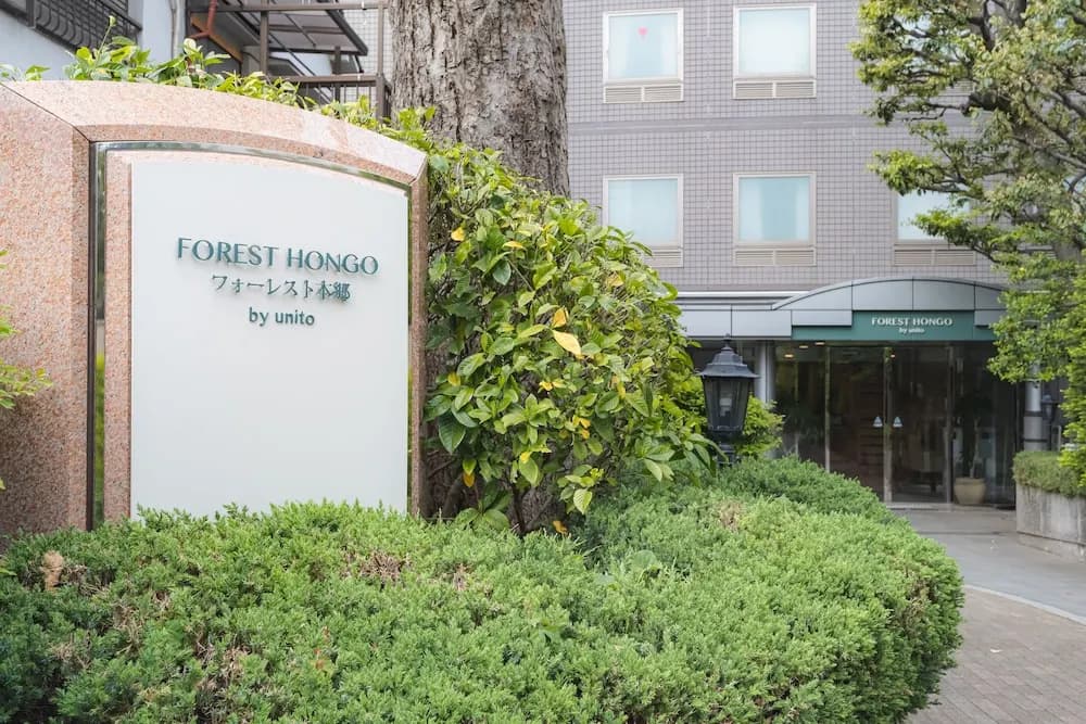 Forest Hongo By Unito - photo 3
