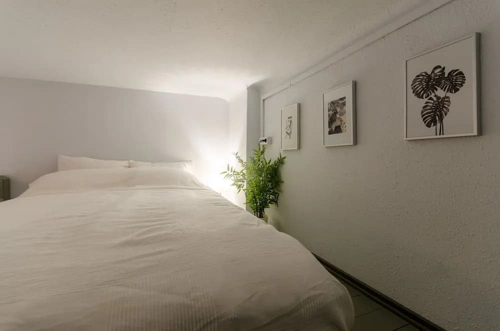 Wasabi Apartment - photo 4