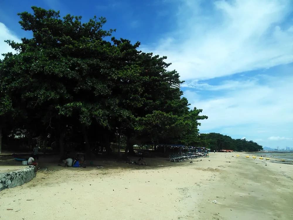 Samal Guesthouse - photo 11