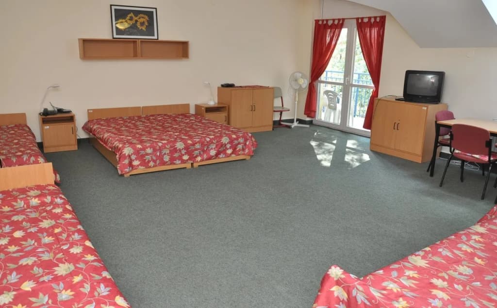 Peto Apartment Hotel - photo 7