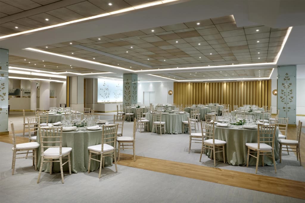 Hyatt Regency Hesperia Madrid - photo 36