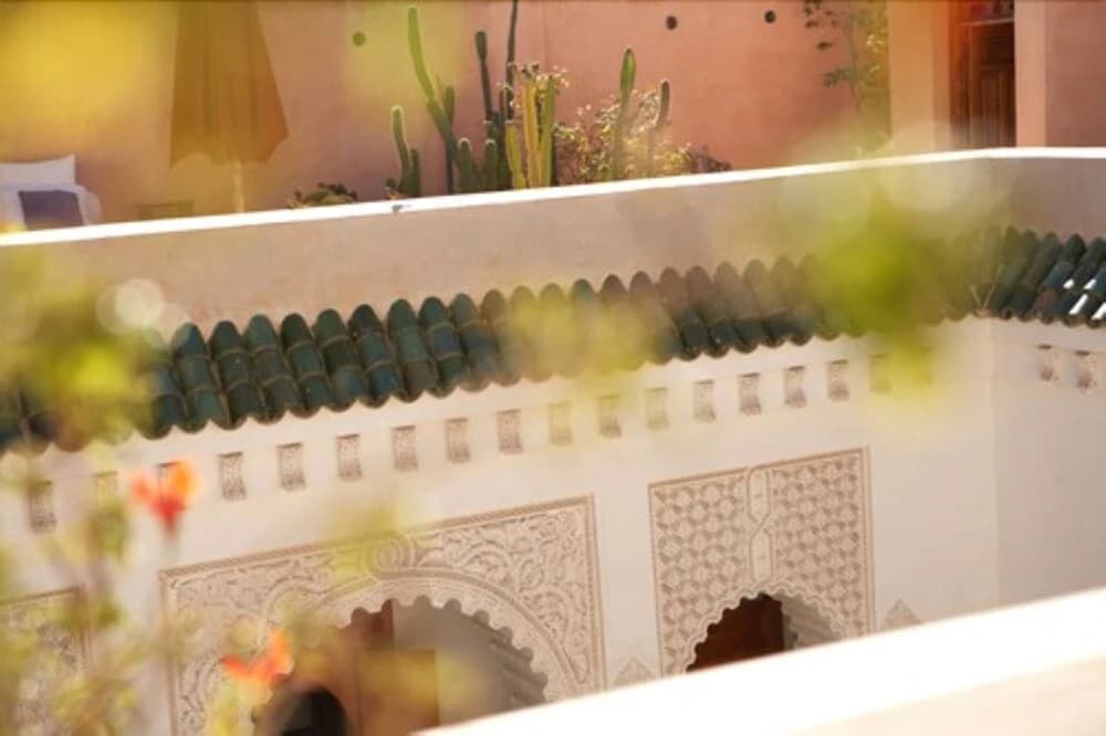 Riad Enija - photo 15