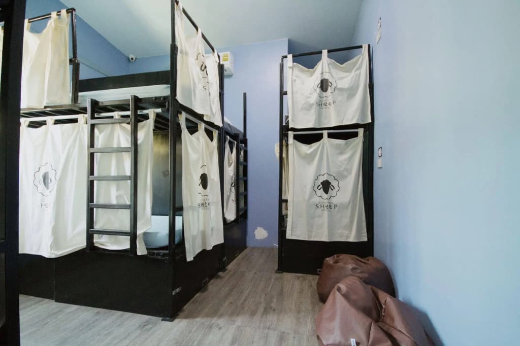 Counting Sheep Hostel - photo 1