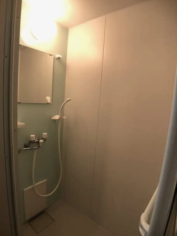 Tsuru 201 - photo 8