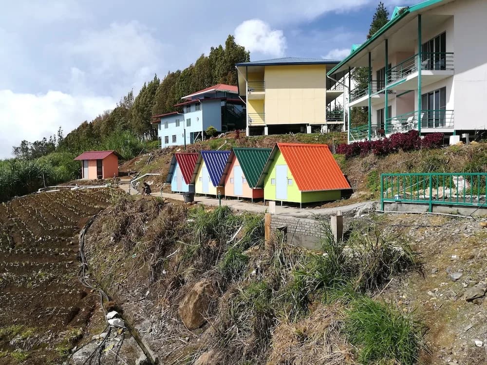 Rocky Mountain Lodge - photo 16