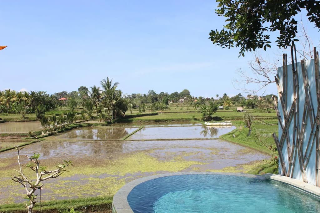 Ubud Padi Villas - photo 8