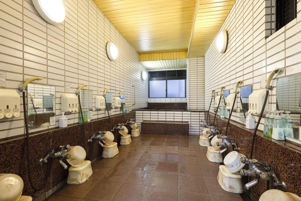 Ryokan Azumaya - photo 10