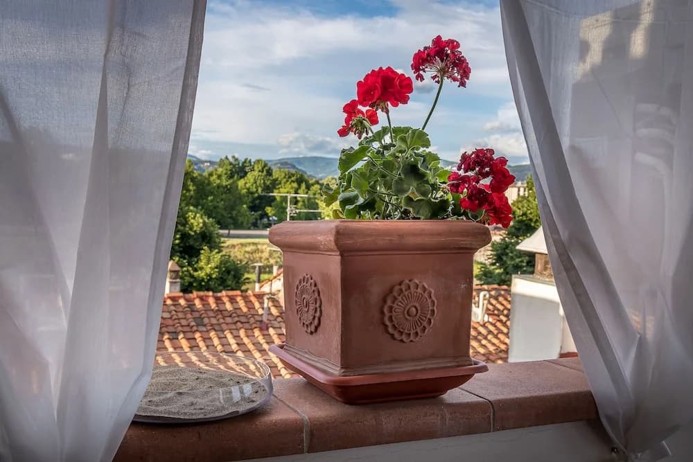 Bandinelli Apartment - photo 16