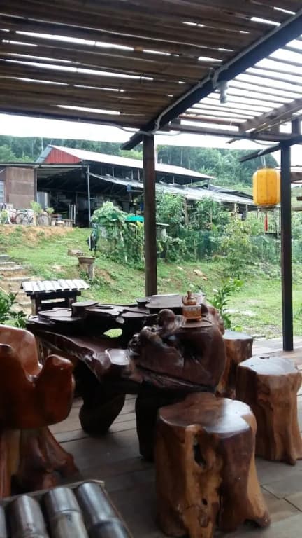 drmind farm - photo 8