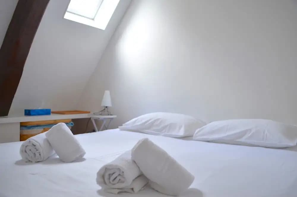 Top Floor Flat Near Bastille - photo 12