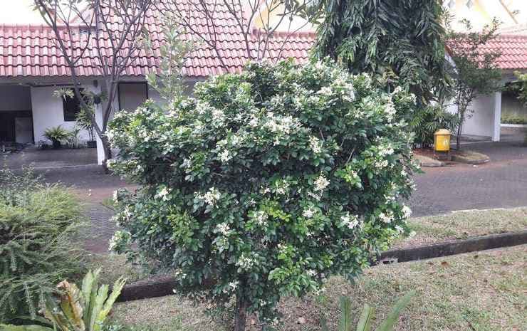 Hotel Griya Permai - photo 10